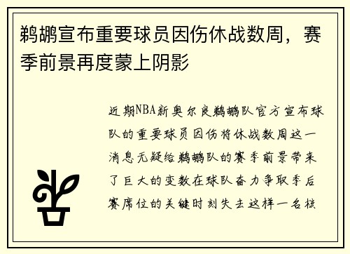 鹈鹕宣布重要球员因伤休战数周，赛季前景再度蒙上阴影